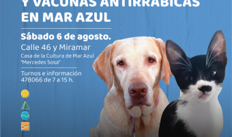 JORNADA DE CASTRACIONES EN MAR AZUL